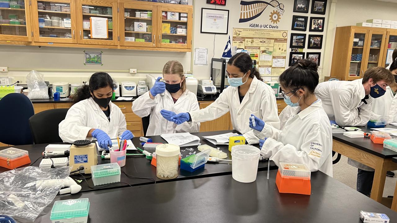 uc davis research opportunities for high school students